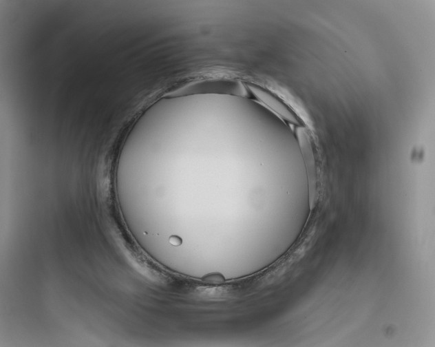 X0000097660057200803211928
