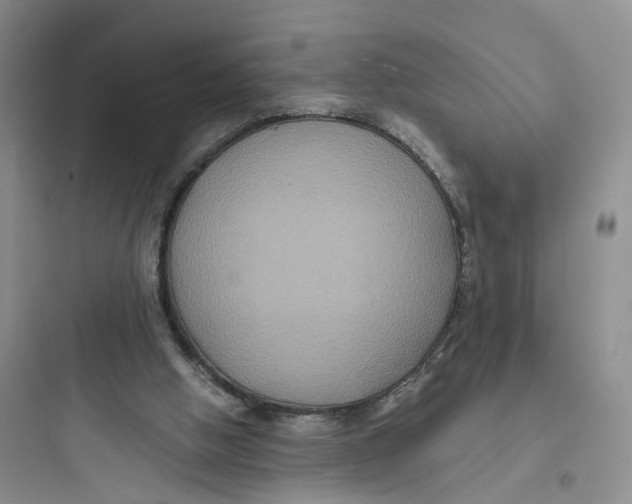 X0000097660058200803211928