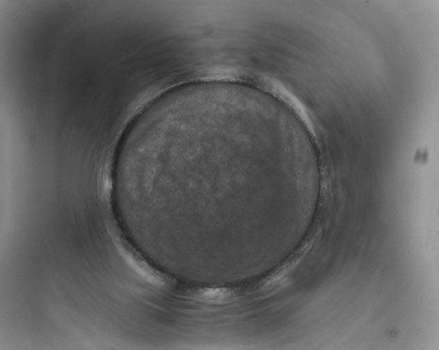 X0000097660059200803211928