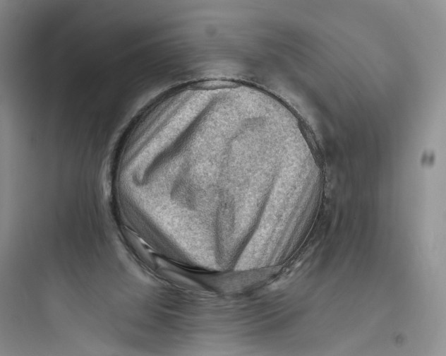 X0000097660060200803211928