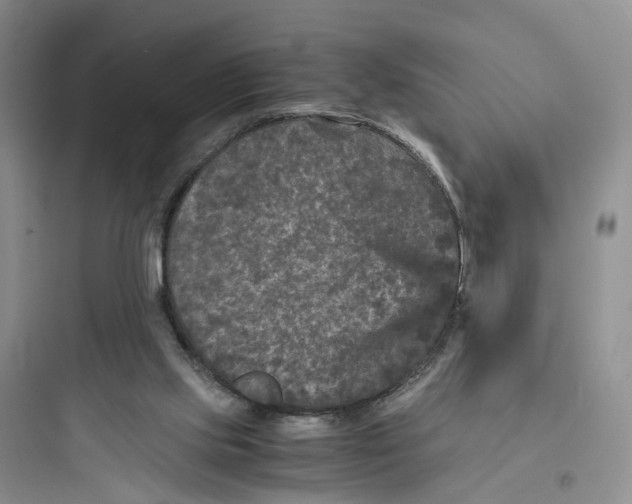 X0000097660061200803211928