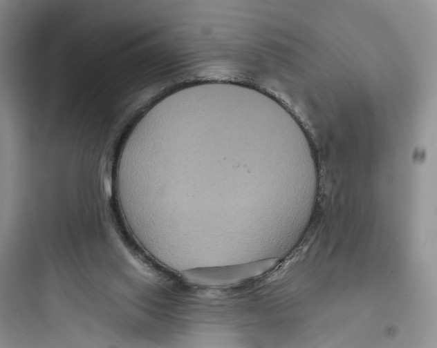 X0000097660062200803211928