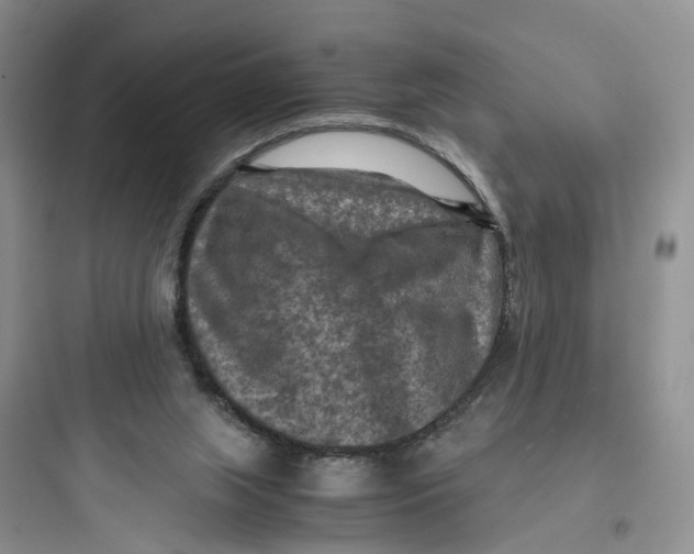 X0000097660063200803211929