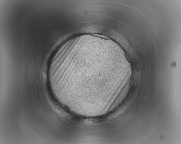 X0000097660064200803211929