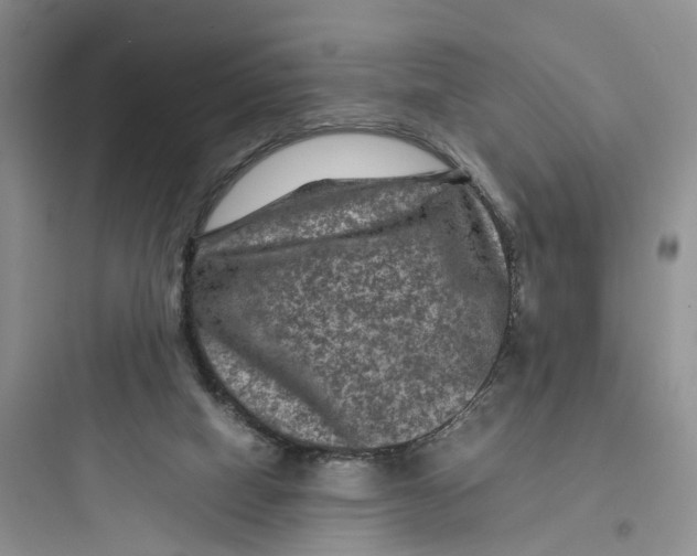 X0000097660066200803211929
