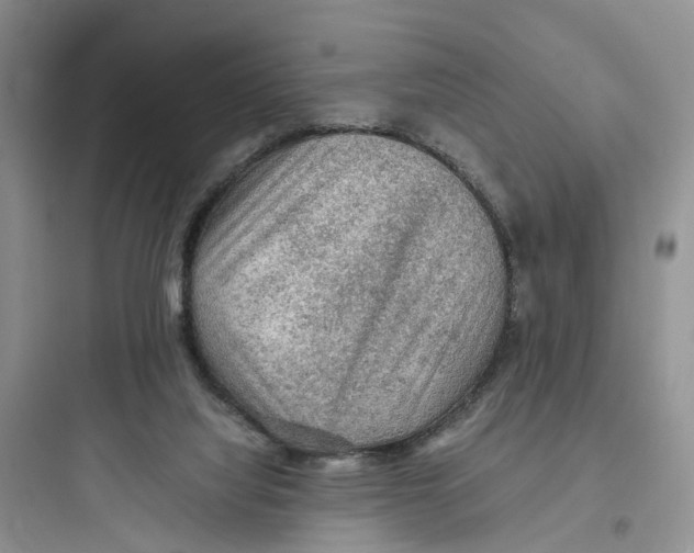 X0000097660068200803211929