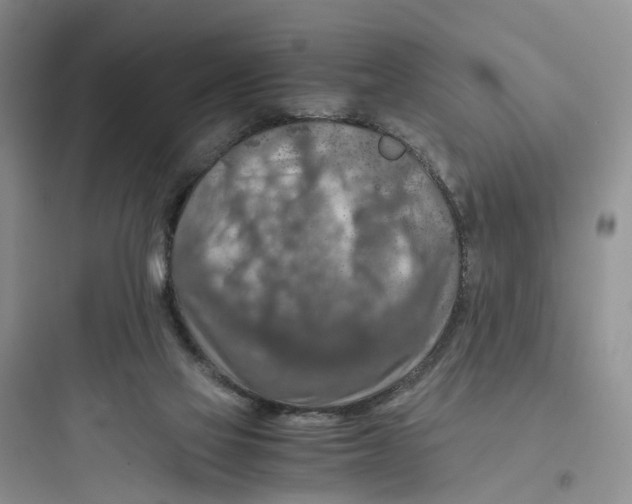 X0000097660069200803211929