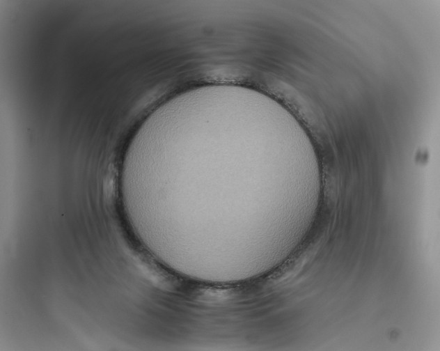 X0000097660071200803211929
