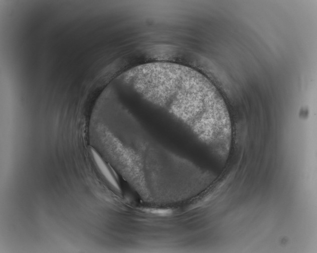 X0000097660073200803211929