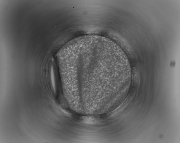 X0000097660074200803211929