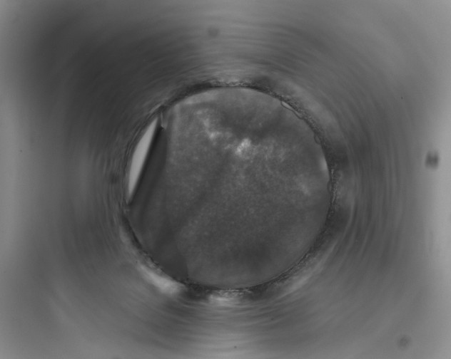 X0000097660076200803211929