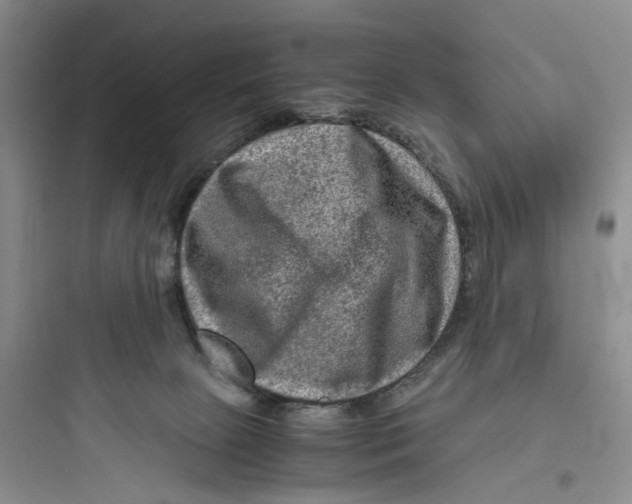 X0000097660081200803211929