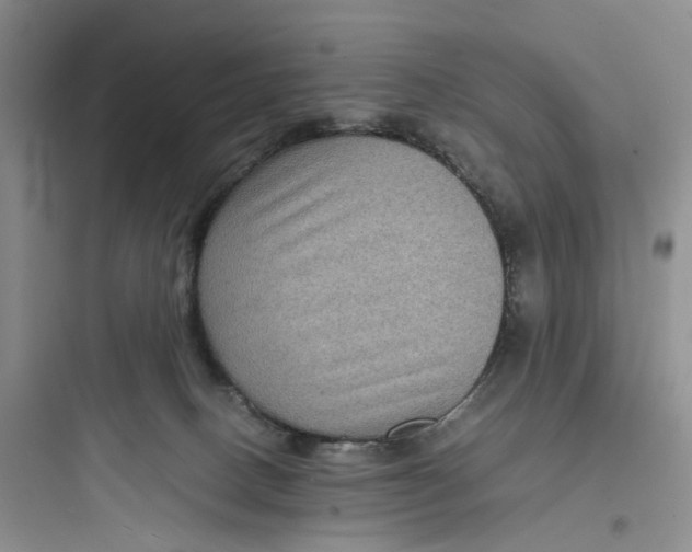 X0000097660082200803211929
