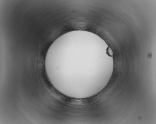 X0000097660083200803211929