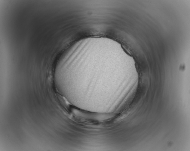 X0000097660084200803211929