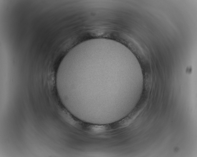 X0000097660085200803211929