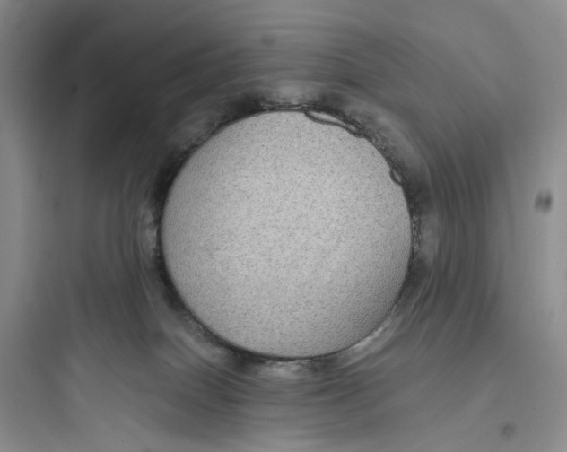 X0000097660086200803211929