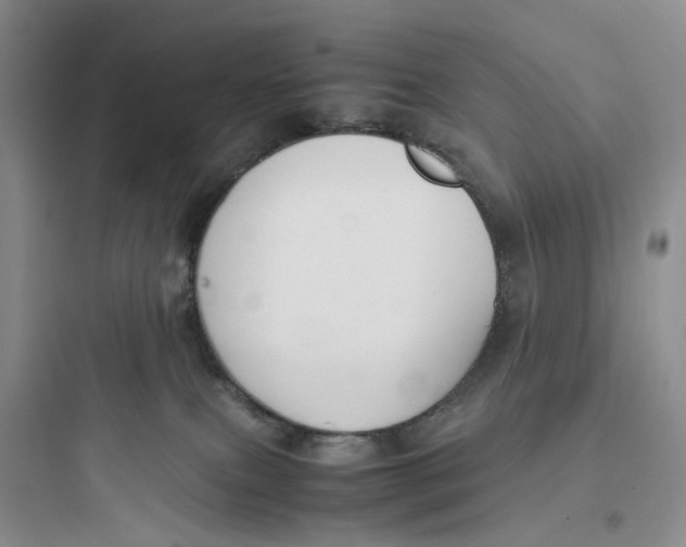 X0000097660087200803211929