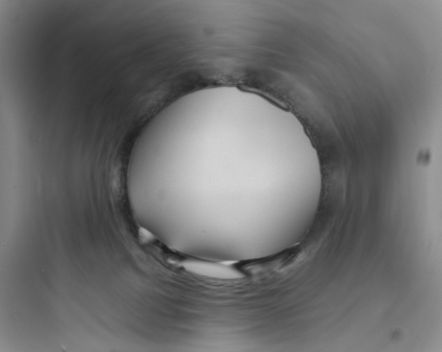 X0000097660088200803211929