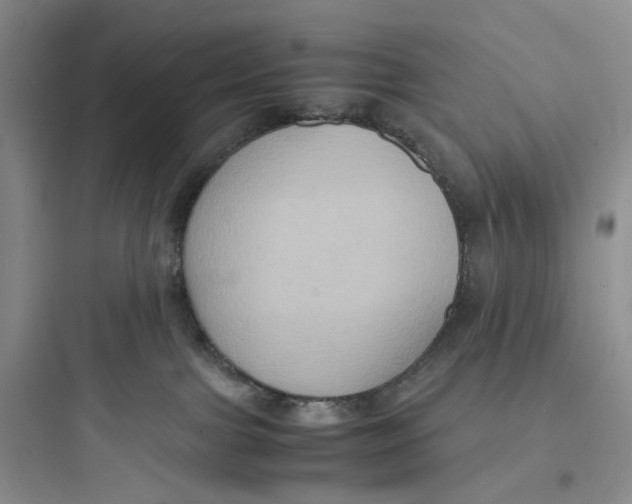 X0000097660091200803211929