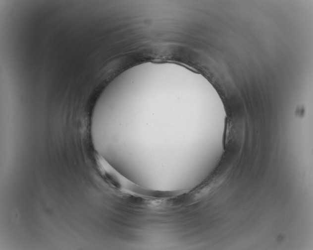 X0000097660092200803211929