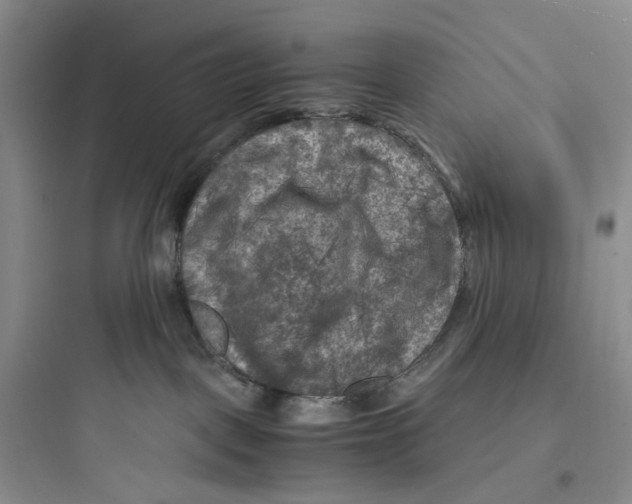 X0000097660093200803211929