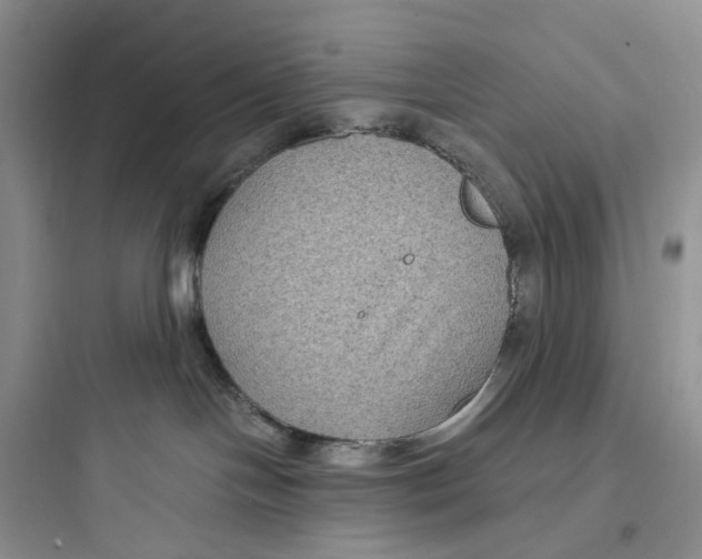 X0000097660094200803211929