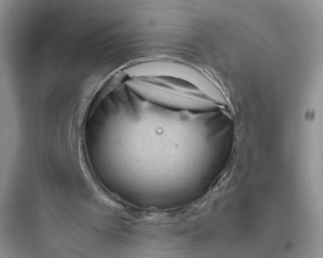 X0000097660097200803211928