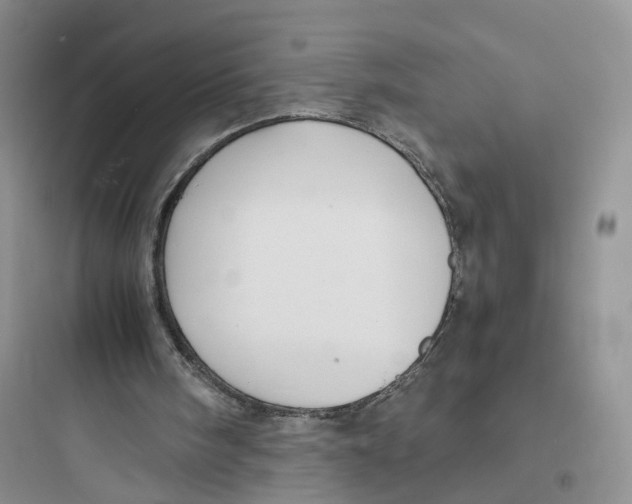 X0000097660098200803211928