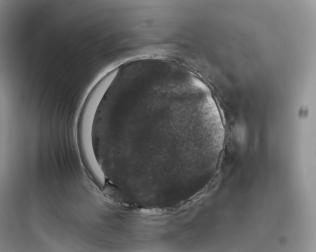 X0000097660100200803211928