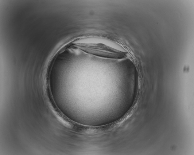 X0000097660101200803211928