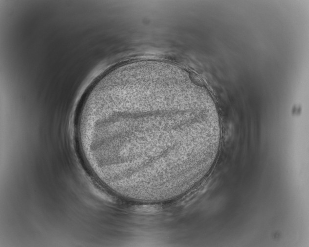 X0000097660102200803211928