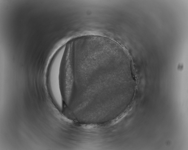 X0000097660104200803211928