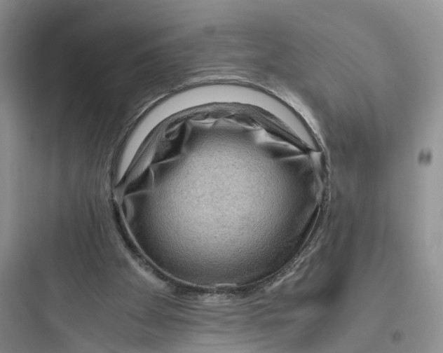 X0000097660105200803211928