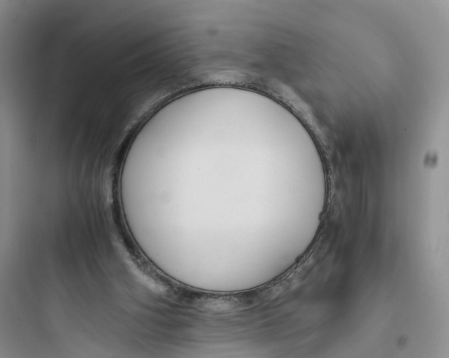 X0000097660106200803211928