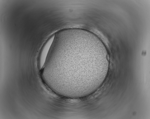 X0000097660107200803211928