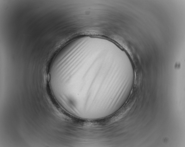 X0000097660109200803211928
