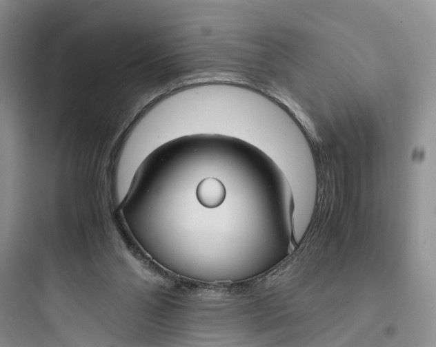X0000097660110200803211928