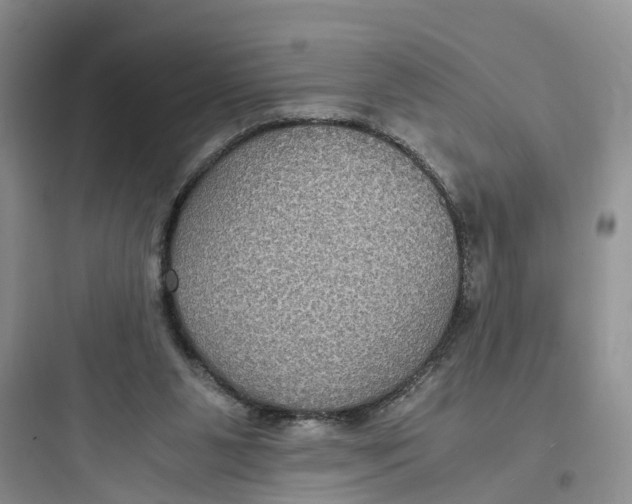 X0000097660111200803211928