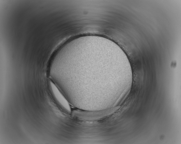 X0000097660112200803211928