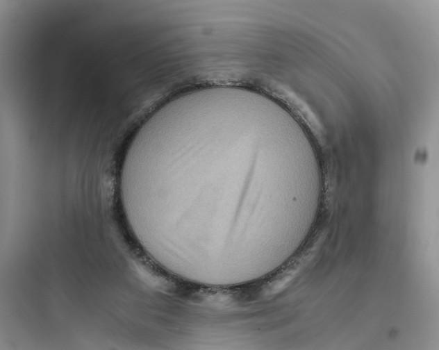 X0000097660113200803211928