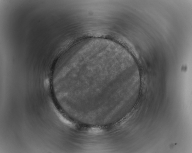 X0000097660114200803211928