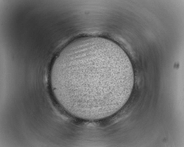 X0000097660115200803211928