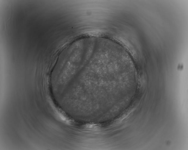 X0000097660117200803211928