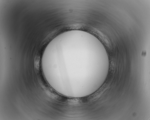 X0000097660118200803211928