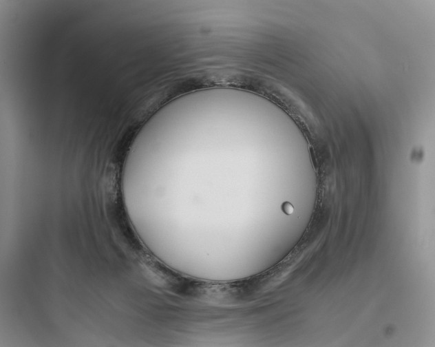 X0000097660121200803211928