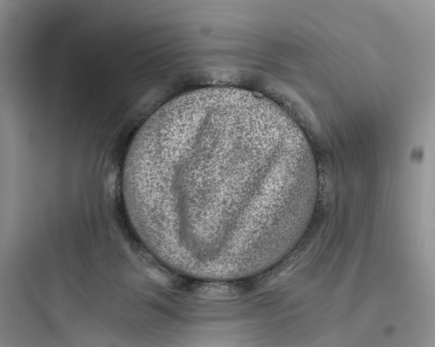 X0000097660123200803211928