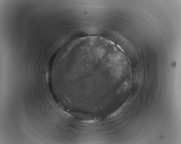 X0000097660124200803211928