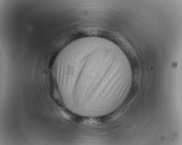 X0000097660125200803211928