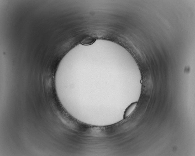 X0000097660126200803211928